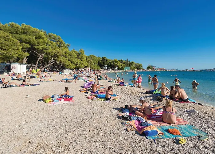 Biograd 36